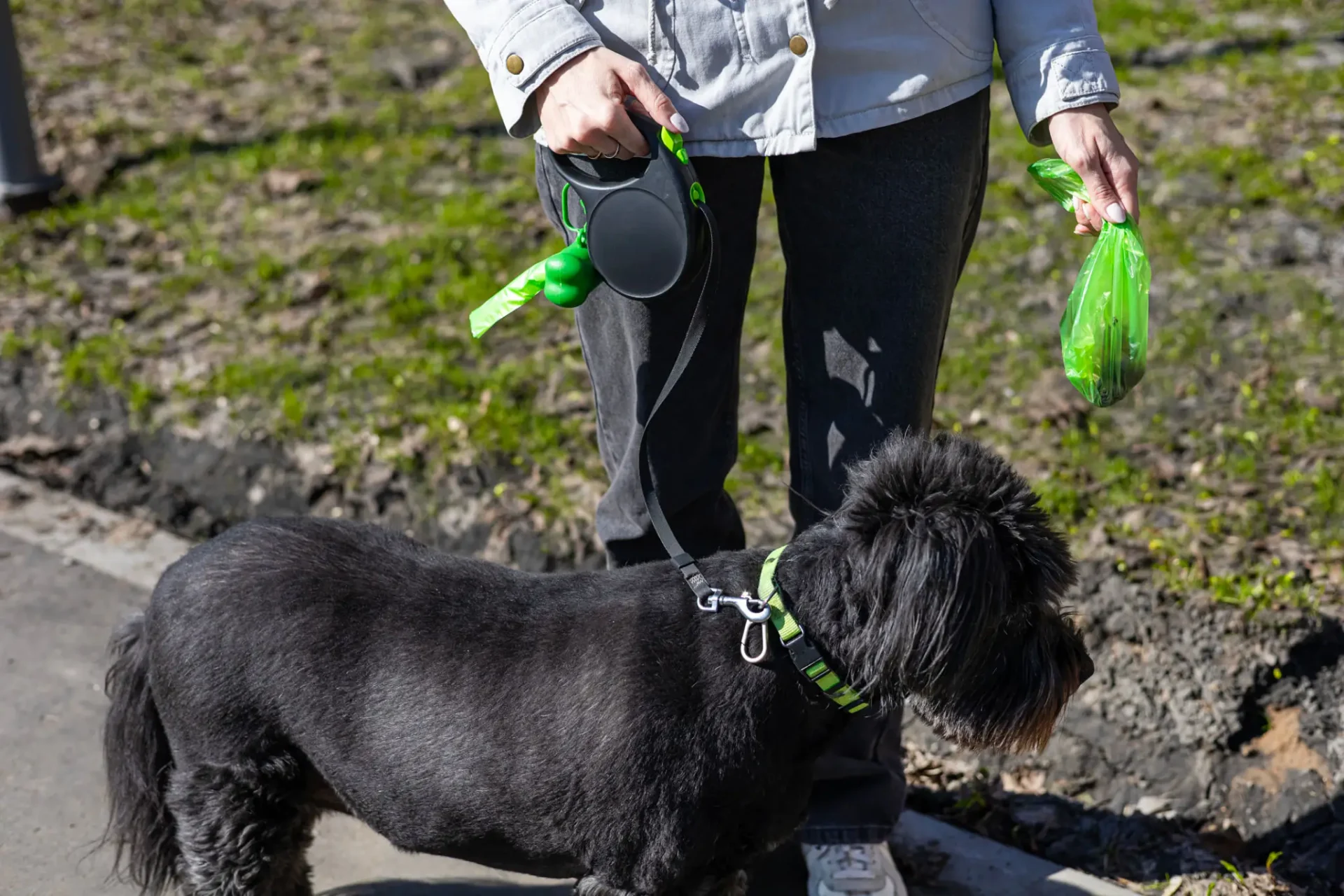 Person walking dog with waste bag