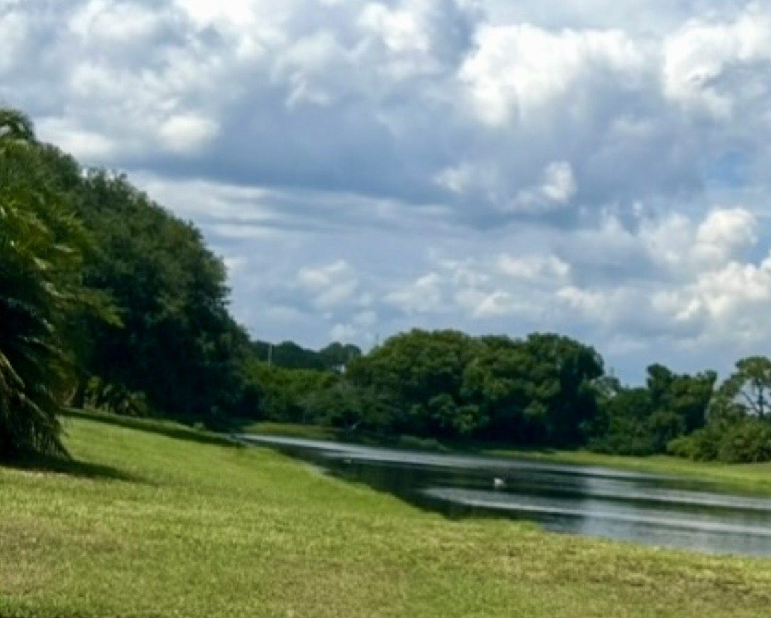 Cloudy sky over serene lakeside landscape